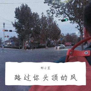 你头顶的风 (翻自 佚名221)