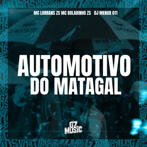 Automotivo do Matagal (Explicit)
