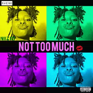 Not Too Much (Explicit)