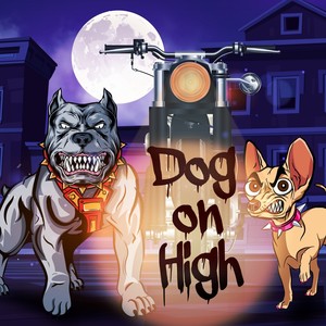 Dog on High