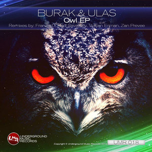 Owl (Volkan Erman Remix)
