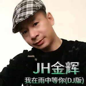 我在雨中等你 (DJ版)