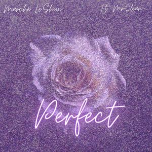 Perfect (feat. BjMrclean Zeus) [Explicit]