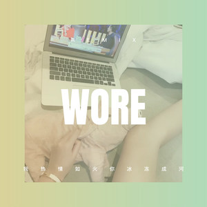 留不住你的温柔 (DJ版)