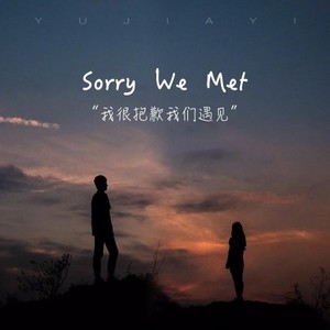 Sorry We Met