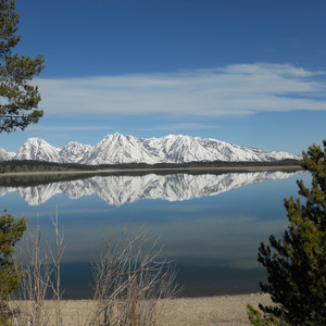 Ca$h Me the Cheque (Explicit)