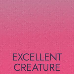 Excellent Creature