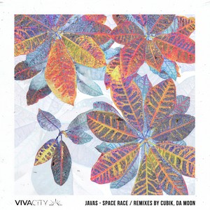 Space Race (Cubik W-Arped Remix)