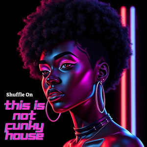 Shuffle On - This Is Not Funky House (Explicit)