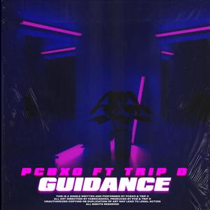 Guidance (feat. Trip D) (Explicit)