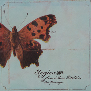 Poor Wayfaring Stranger