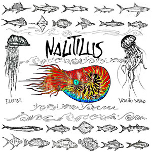 Nautilus