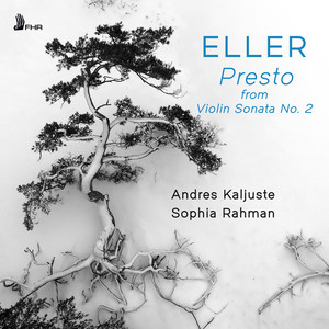 Sonata for Violin and Piano No. 2 in D Minor - Sonata for Violin and Piano No. 2 in D minor (III. Presto)