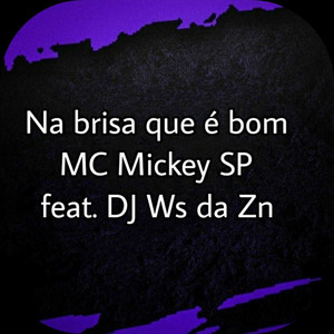 Na Brisa Que é Bom (feat. Dj Ws da ZNZ) [Explicit]