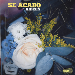 Se Acabó (Explicit)