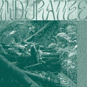 induratize (REYKO! Remix|Explicit)