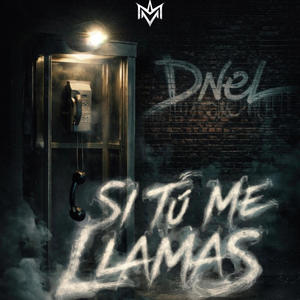 Si Tu Me Llamas