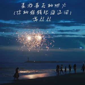 夏夜最后的烟火（你的眼睛比海辽阔）