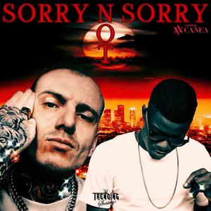 SORRY NOT SORRY (Explicit)