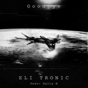 Goodbye (feat. ELI TRONIC)