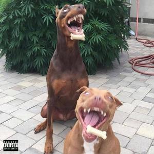 RECOVERED (feat. Kamil X) (Explicit)