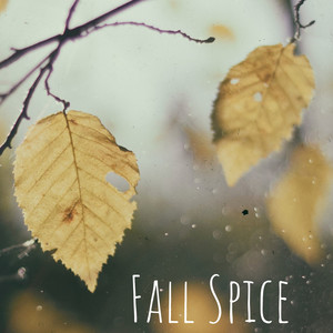 Fall Spice