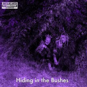 Hiding in the Bushes (Chopnotslop Remix) [Explicit]