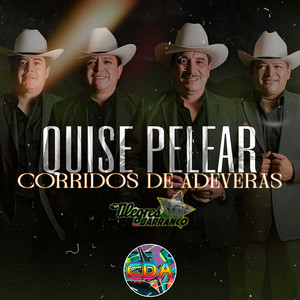 Quise Pelear