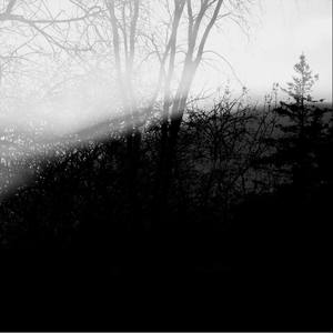 Passing Shadows