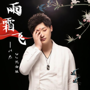 雨霜飞 (DJ沈念版伴奏)