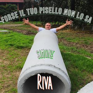 Forse il tuo pisello non lo sa (feat. Nicola Ursino) [Explicit]