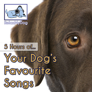 Roling in Fall Leaves