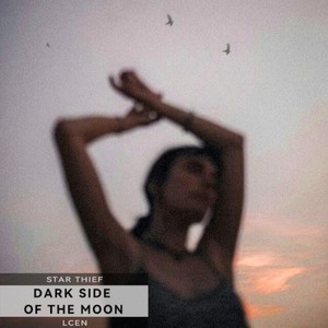 Dark side of the moon