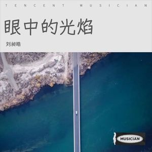 眼中的光焰-刘昶皓