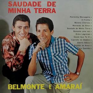 Saudade de Minha Terra