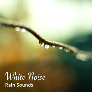White Noise for Sleep