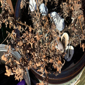 Slow and easy (feat. Panotune) (Explicit)