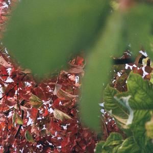 Yes Man (feat. ZEE!) (Explicit)