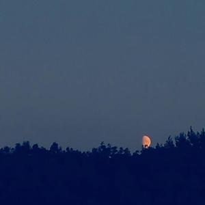 my life is over and it hurts