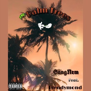 Palm Trees(feat. Trendymond)