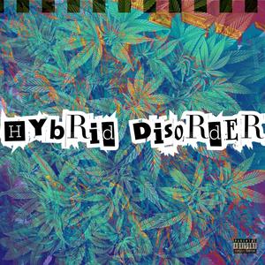 Hybrid Disorder (Explicit)