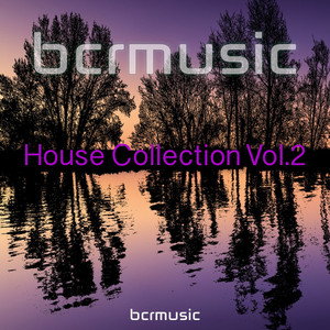 BCRMUSIC House Collection, Vol. 2