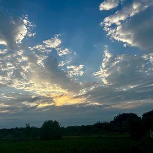 missing persons (feat. ANATVK) (Explicit)