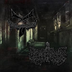 Demon Shun-Lis(feat. The Veracious Ones) ($kxll Remix|Explicit)