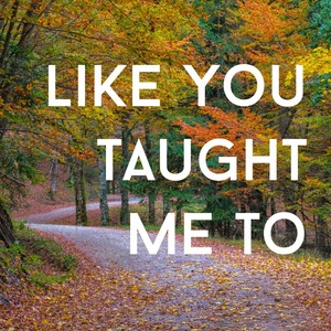 Like You Taught Me To