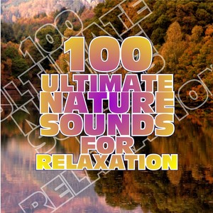 100 Ultimate Nature Sounds for Relaxation