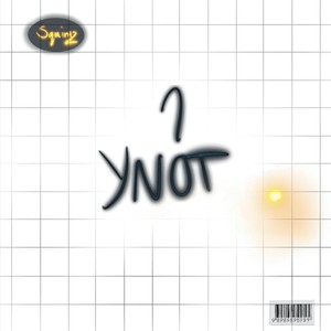 Y Not? (Explicit)