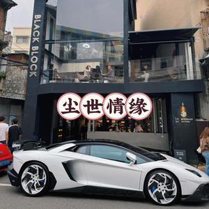 尘世情缘