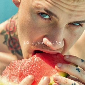 LO SIENTO CARIÑO