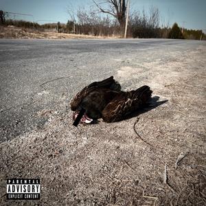 Wasteland (Explicit)